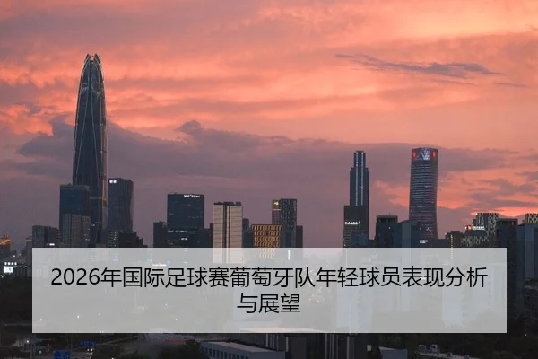 2026年国际足球赛葡萄牙队年轻球员表现分析与展望